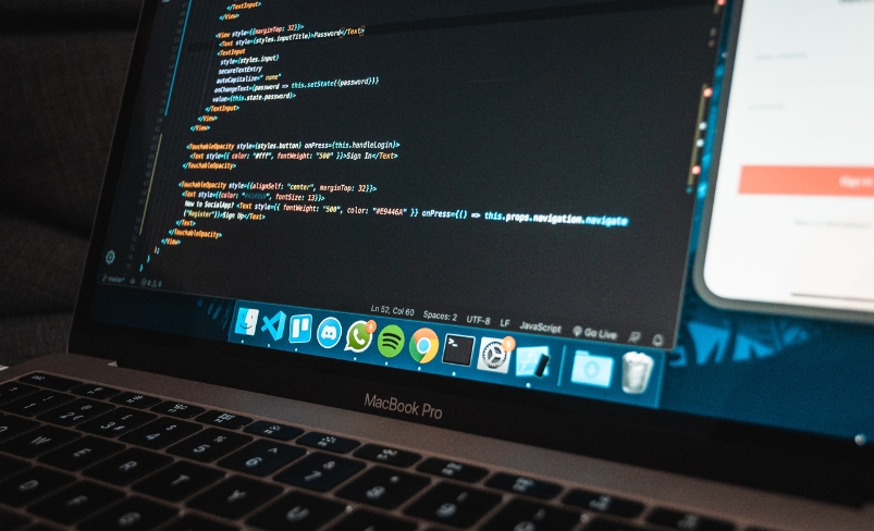 Web Design & Development - Scripting Spider