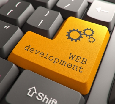 Professional Web Development Theni